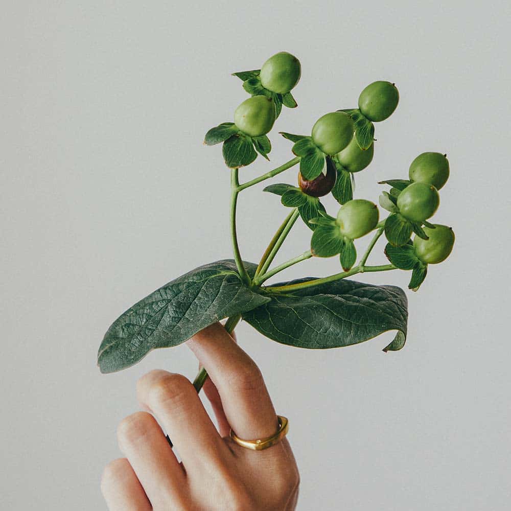 【パシュ】サイドストーンリング 2mm 画像 29