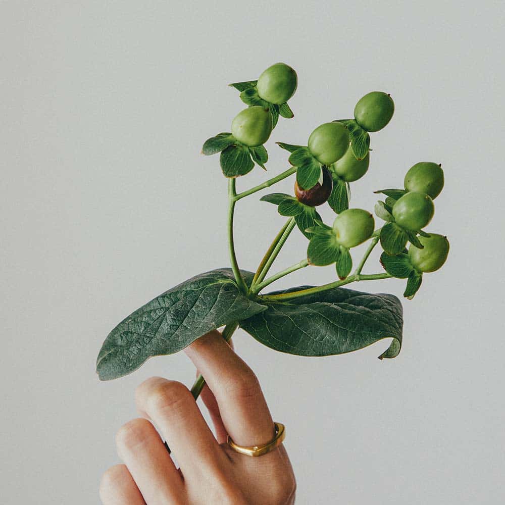 【パシュ】サイドストーンリング 3mm 画像 29