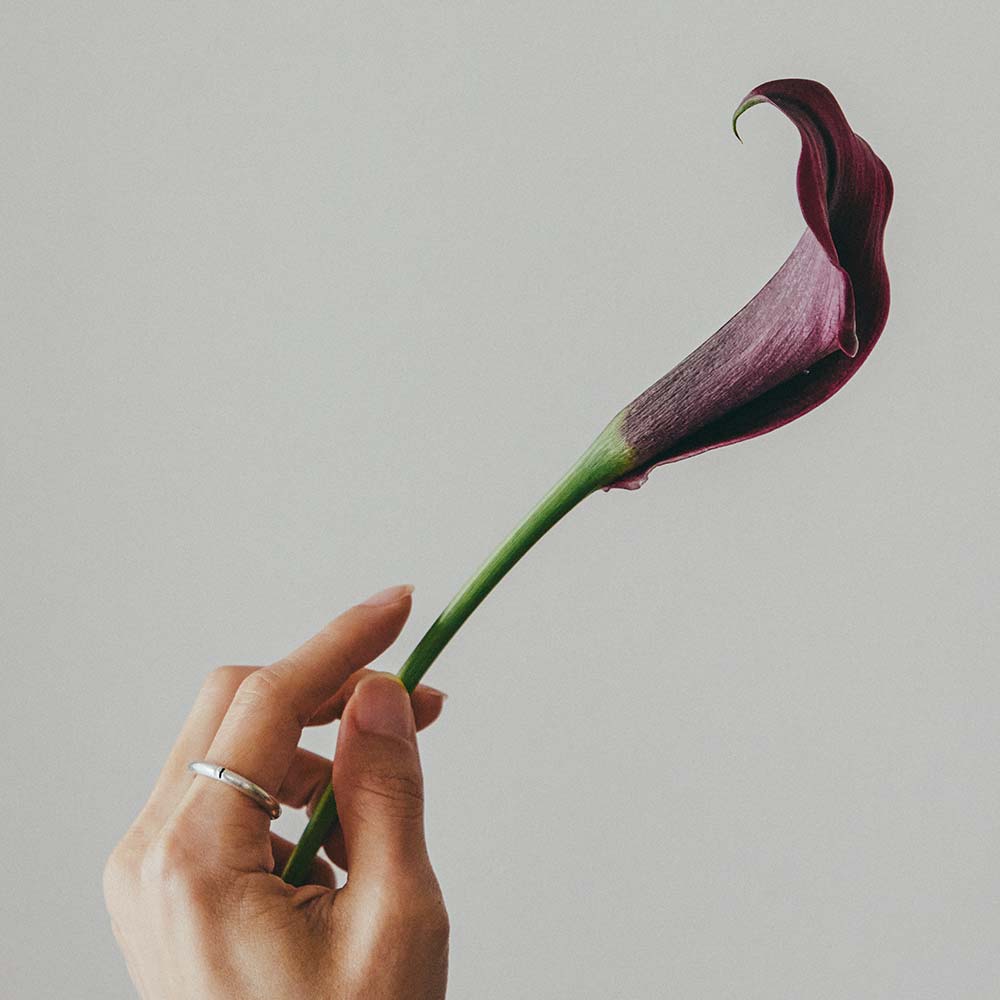 【フィリ】ライン＆インナーストーンリング 3mm 画像 25