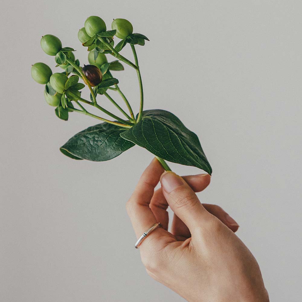 【フィリ】ライン＆インナーストーンリング 3mm 画像 26