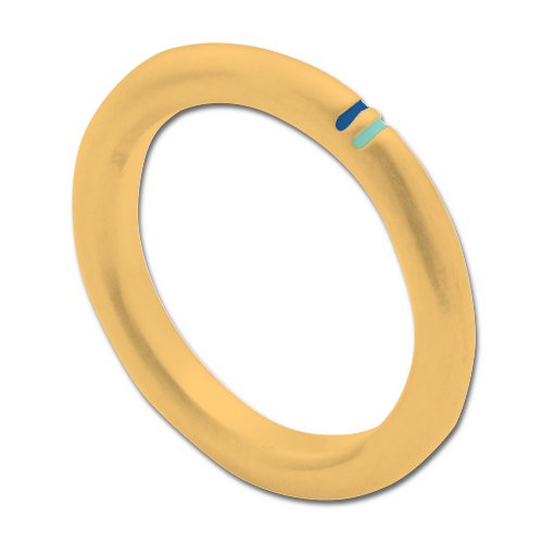 おすすめカラーカスタマイズ 1