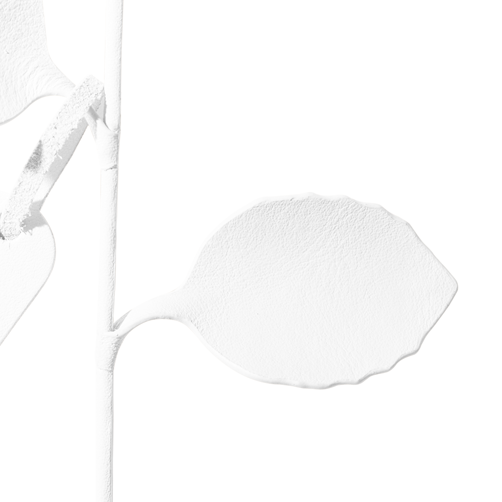視点5