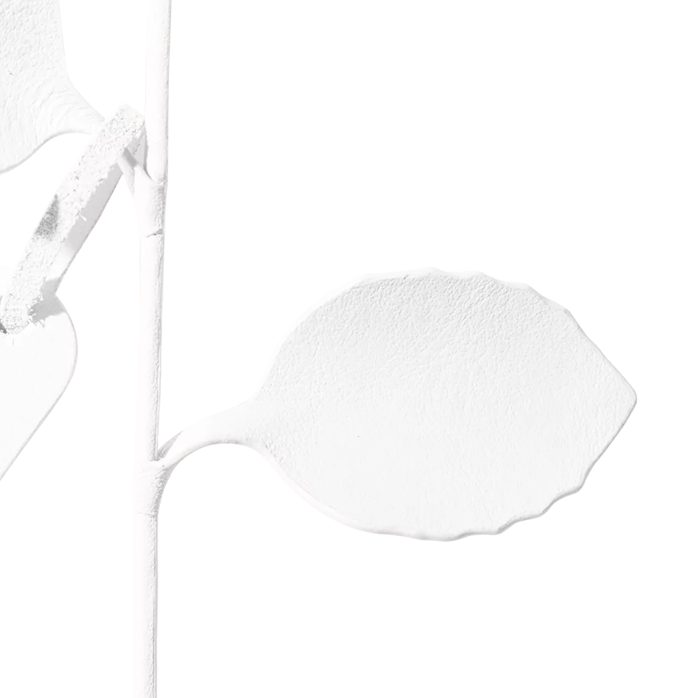 視点5
