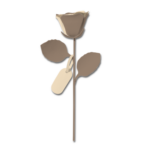 おすすめカラーカスタマイズ 1