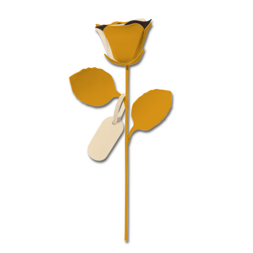 おすすめカラーカスタマイズ 2