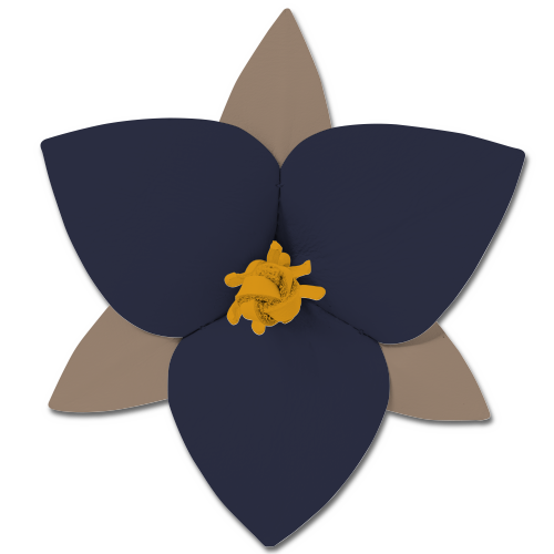 おすすめカラーカスタマイズ 4