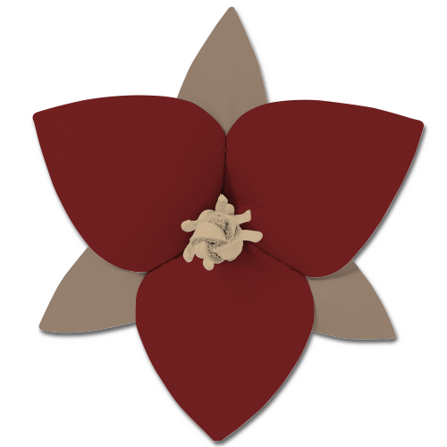 おすすめカラーカスタマイズ 3