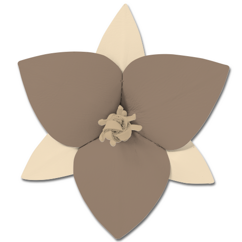 おすすめカラーカスタマイズ 1