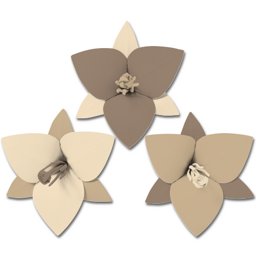 おすすめカラーカスタマイズ 1