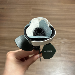 黒い薔薇は明るいところで見るとより綺麗に見えますね。