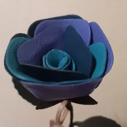 思った通りのCOLOR