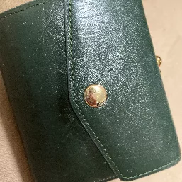 緑色は金運アップのようなので緑にしてみました。