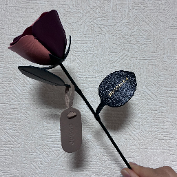 バラ