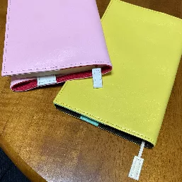 新書版とともに。