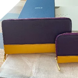 ロイヤルパープル×マスタードイエロー