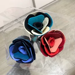 届いたときに母がLINEで送ってくれた画像
どこに飾ろう！と悩んでました笑